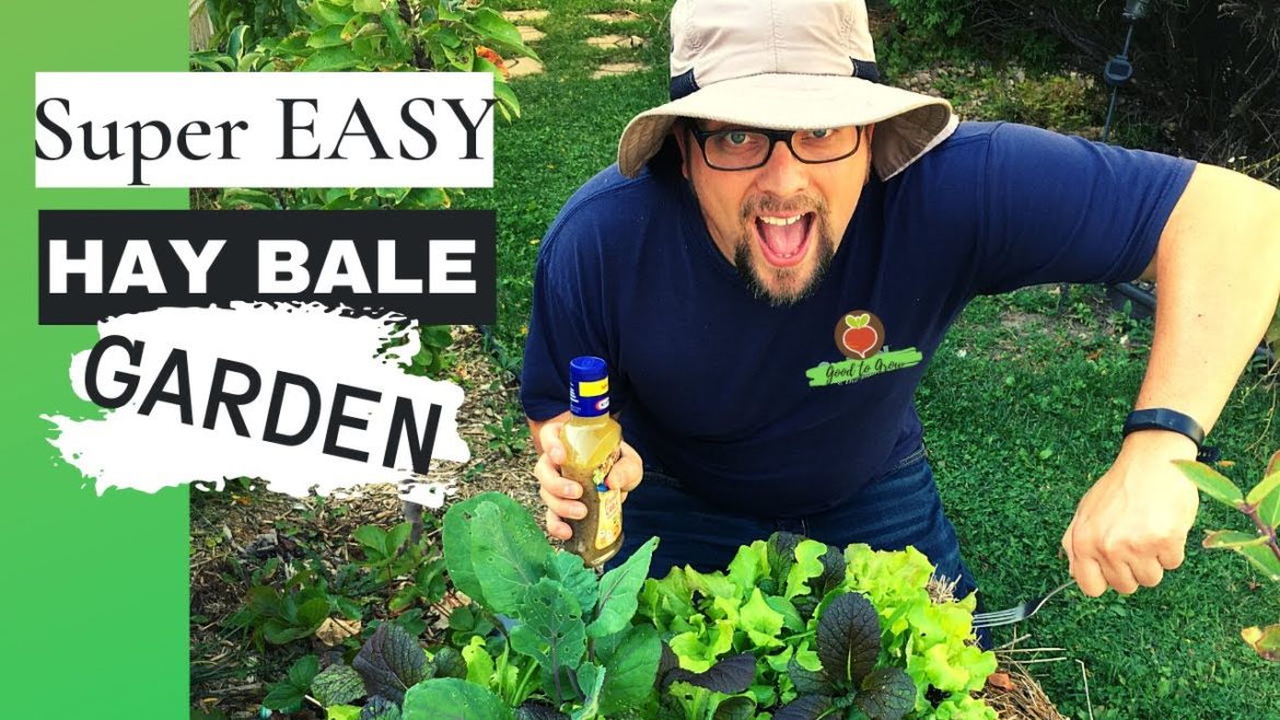 SUPER EASY Hay Bale Raised Bed Gardening Ideas / Front Yard Garden Growing Lettuce Greens Salad Bar