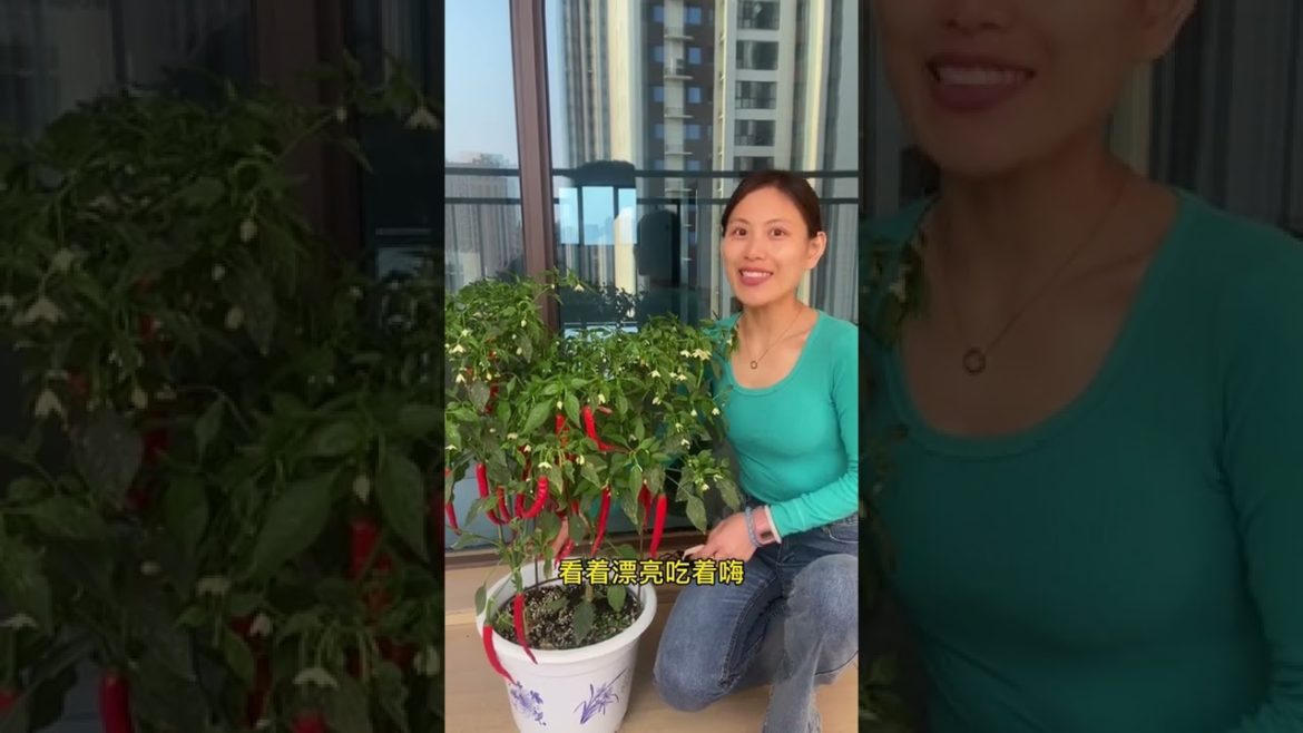 October 2022 Tips for garden  at home with me