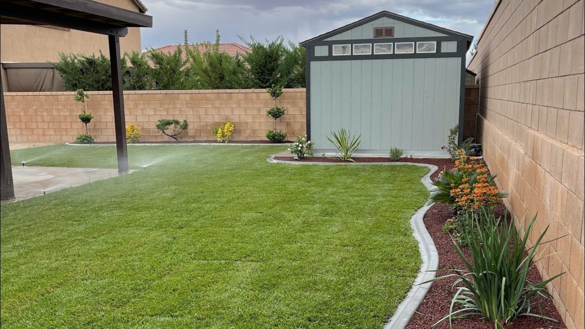 renovated backyard - ortiz landscape #tendencia