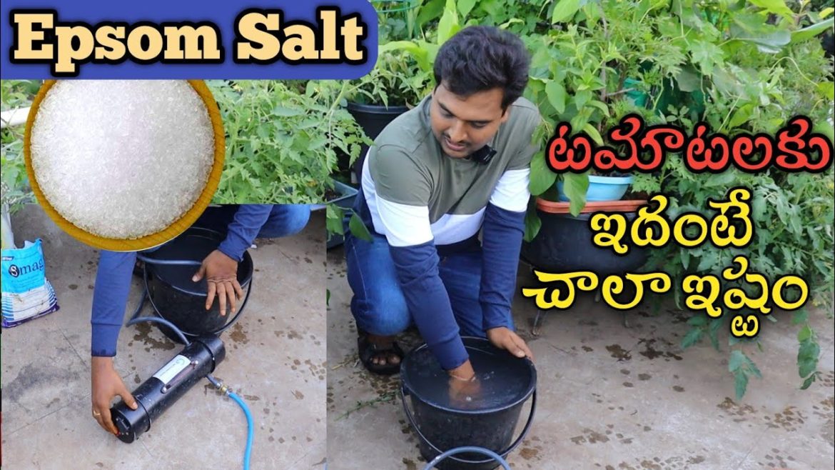 Epsom salt spray చేస్తున్నాను