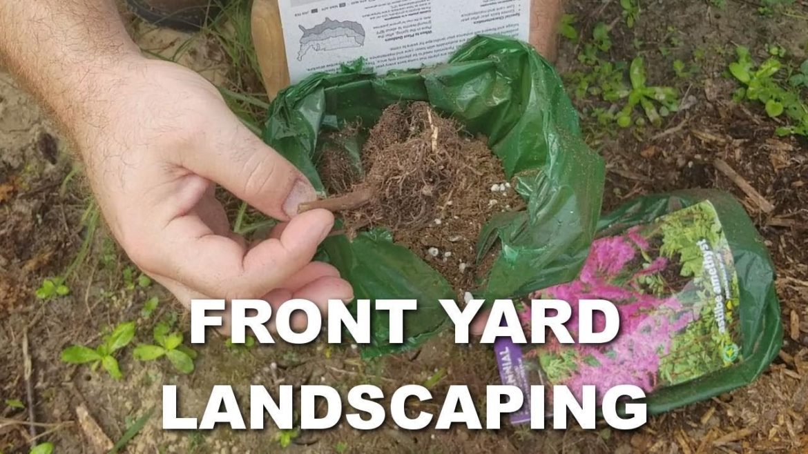 Front Yard Landscaping