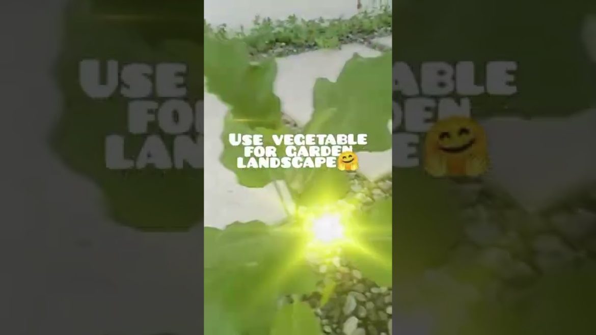 Eggplant Garden Landscape-Edible Plants-Avalon Farm