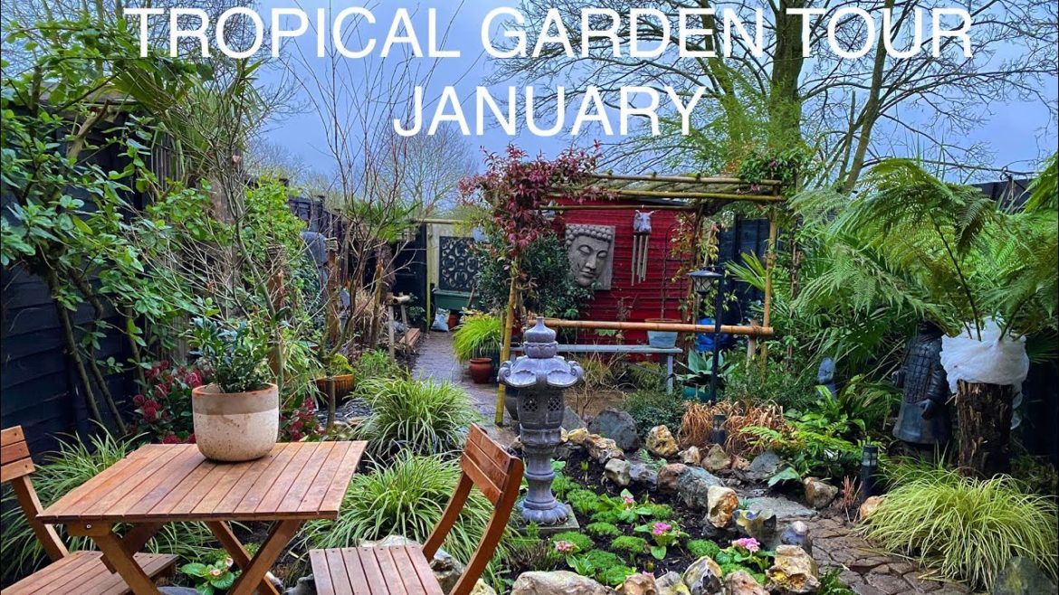 Tropical Japanese zen garden tour uk January update!