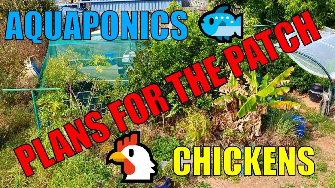 Plans for the patch & Messy Garden Tour