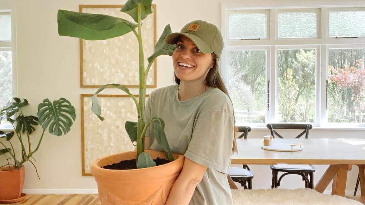 Homestead Living | Gardening + Meet Pony Homestead Living | Gardening + Meet Pony