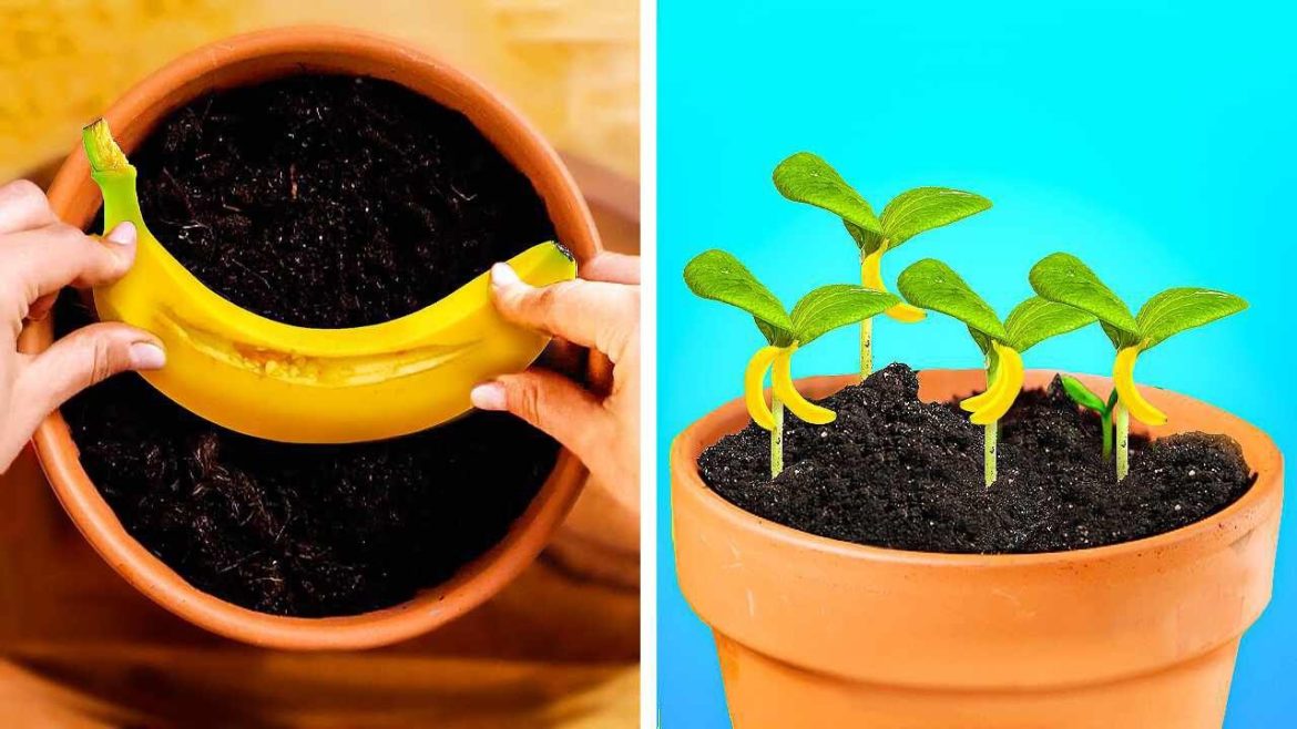 EFFECTIVE GARDEN TRICKS TO MAKE YOUR PLANTS HAPPIER!