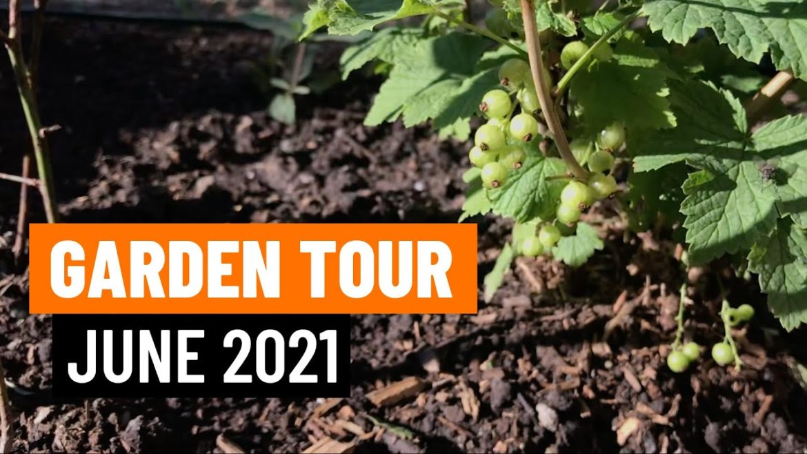 Canadian Prairie Edible Garden Tour - June 2021