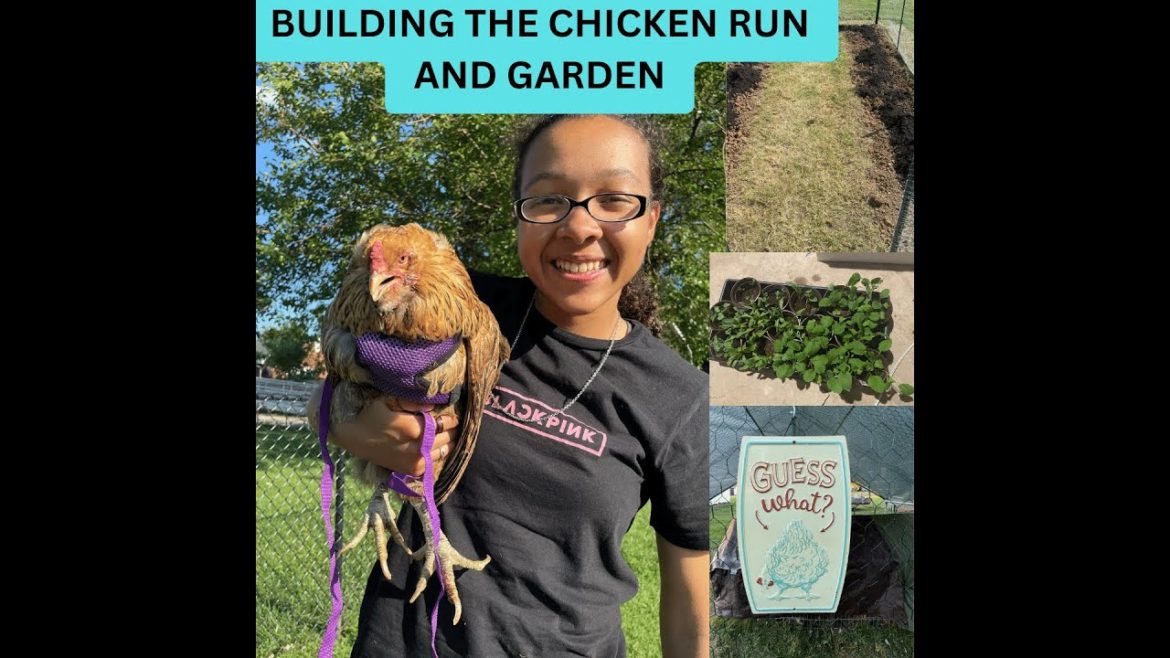 Building the Chicken Run and Prepping the Garden