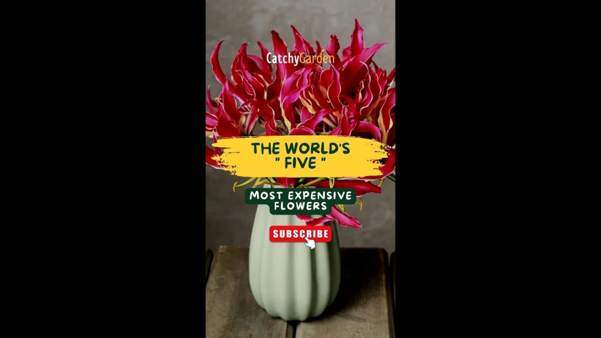 The World's 5 Most Expensive Flowers 🍀🌺☘️ // #short #short #shortvideos