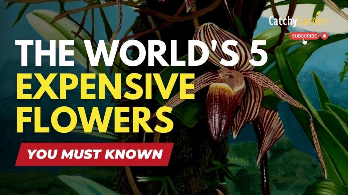 The World's 5 Most Expensive Flowers 🍀🌺☘️ // SECRET GARDEN