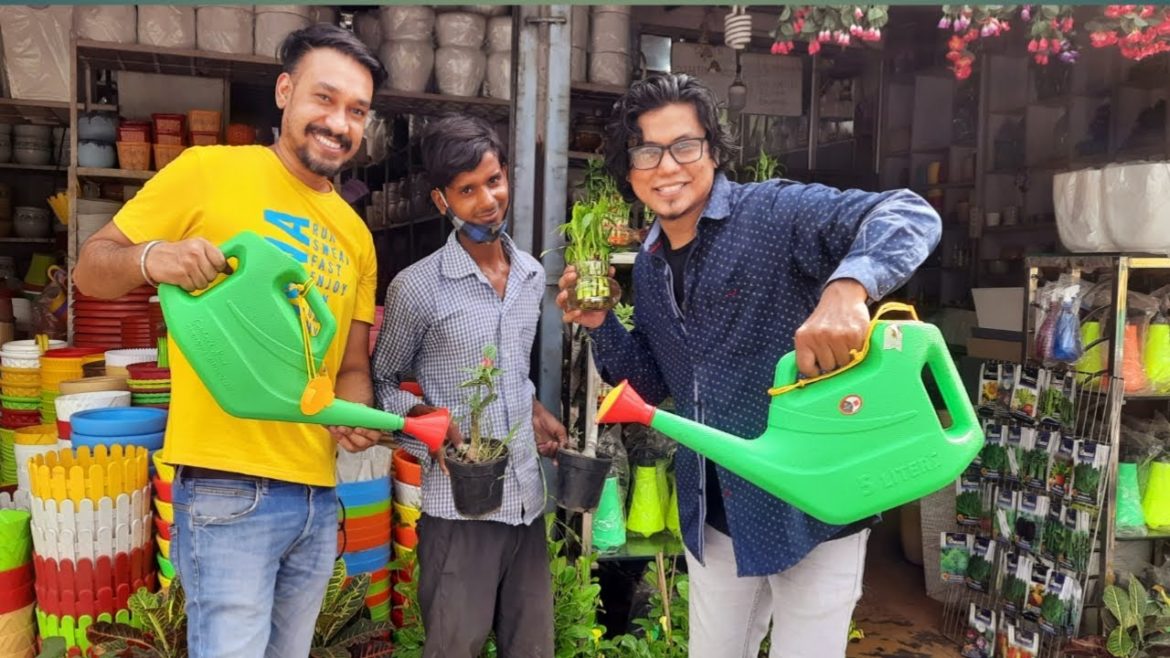 Cheapest Gardening tools in India| Buy gardening products at lowest rate| Pots | Plants | Seeds Cheapest Gardening tools in India| Buy gardening products at lowest rate| Pots | Plants | Seeds