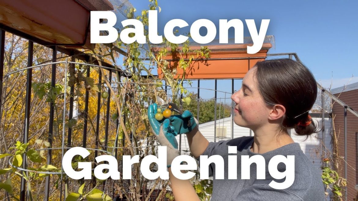 How I Put Away My Balcony Garden for Winter | Gardening Series 2022 | Episode 7
