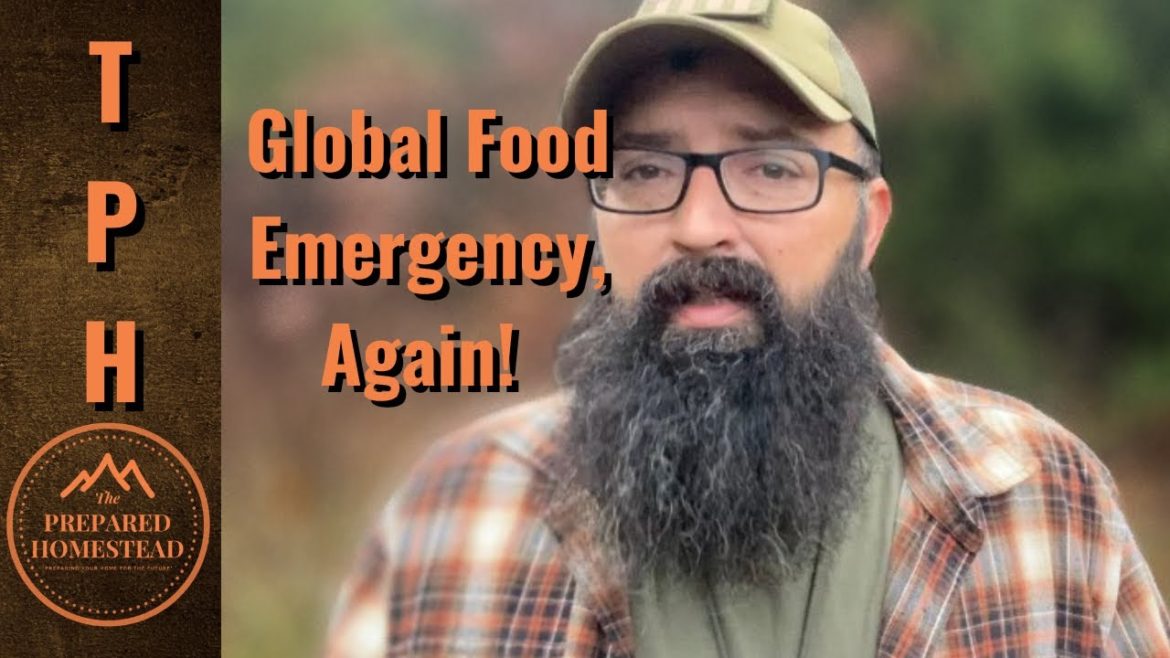 Global Food Emergency, Again!