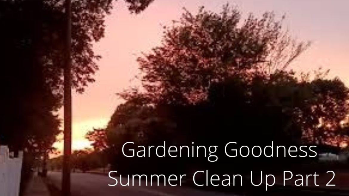 Summer Garden Clean up Part 2 Beginner Gardener Vlog #garden #gardening Summer Garden Clean up Part 2 Beginner Gardener Vlog #garden #gardening