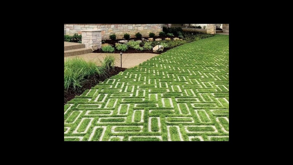 GARDEN DESIGNS THAT LOOKS LIKE HEAVEN💗💗. Must Watch. #design #modren #gardendecor GARDEN DESIGNS THAT LOOKS LIKE HEAVEN💗💗. Must Watch. #design #modren #gardendecor