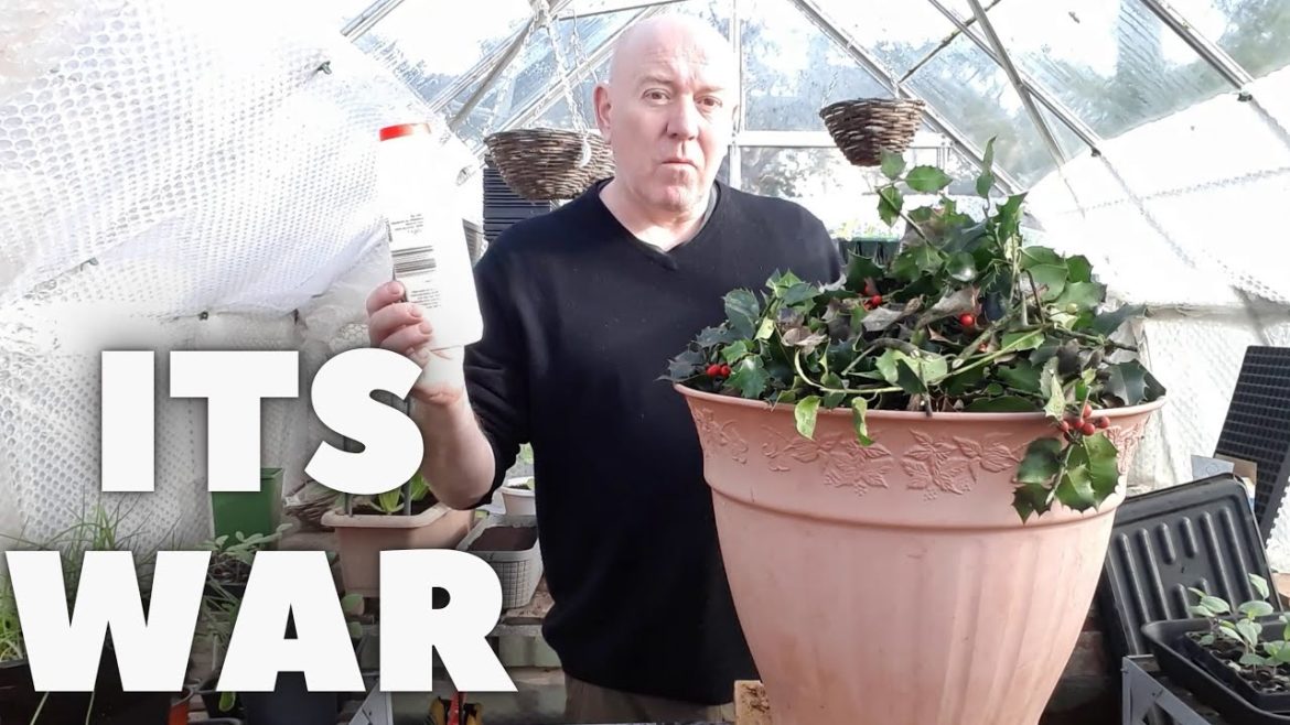 Gardening Allotment UK [Grow Vegetables At Home ]