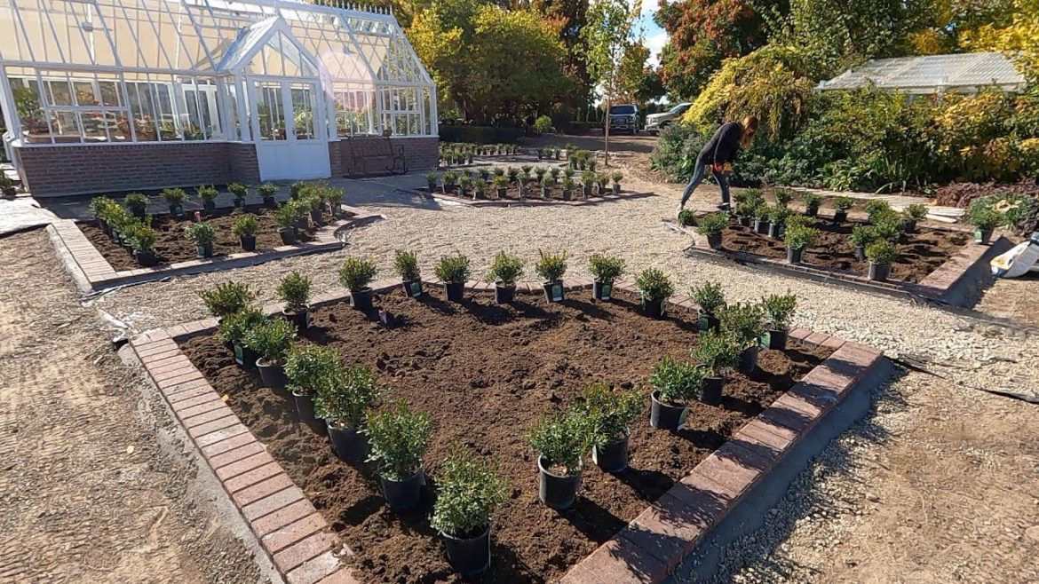 Garden Answer: Planting Boxwoods Around the Hartley! ๐คฉ๐๐ // Garden Answer Planting Boxwoods Around the Hartley! ๐คฉ๐๐ // Garden Answer