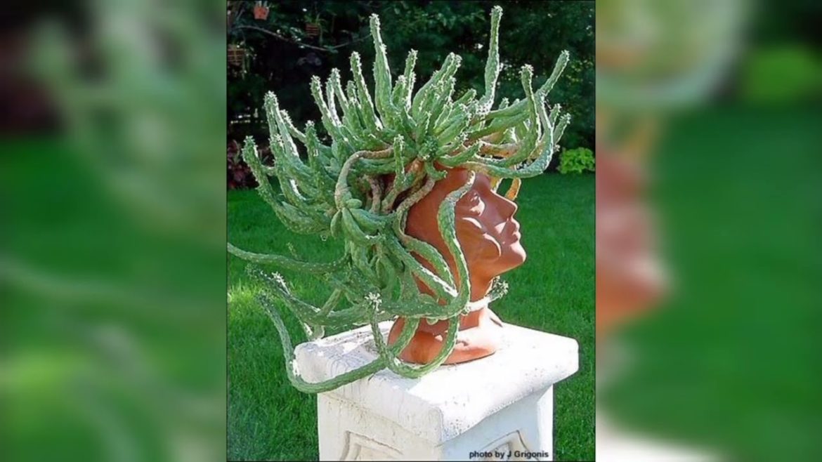 funny Garden Ideas