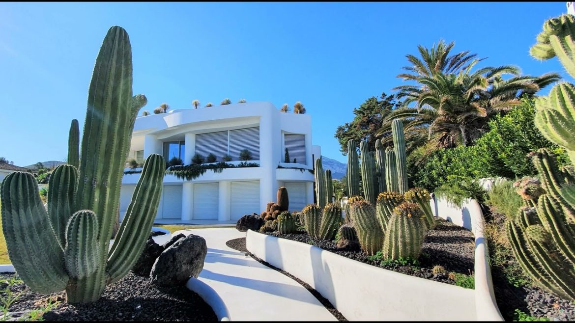 Landscape Desing ideas Best ideas for  garden and landscape #5466