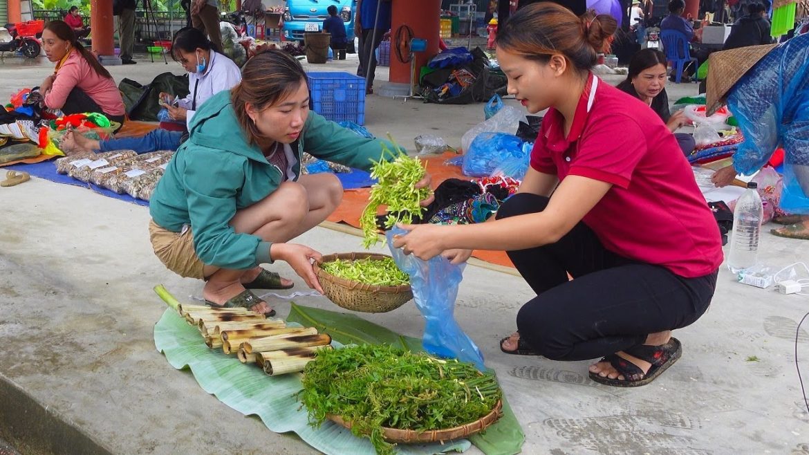 Making bamboo-tube grilled rice to bring to the market to sell. Live with nature, My Daily Life