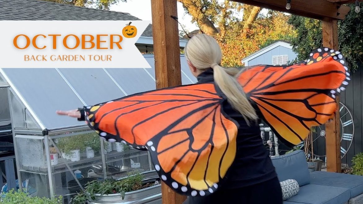 October Back Garden Tour! :: Happy Halloween Everyone! :: Zone 9b Small Yard Backyard Garden October Back Garden Tour! :: Happy Halloween Everyone! :: Zone 9b Small Yard Backyard Garden