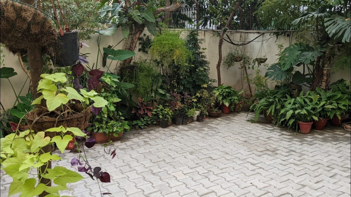 Makeover of backyard Garden for 360° turnaround