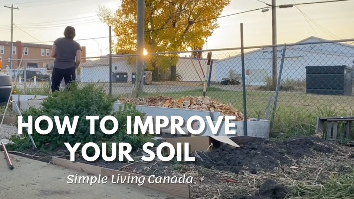 How to Improve Soil Quality In Our Potato Raised Bed | Gardening Tips | Simple Living Canada | #17