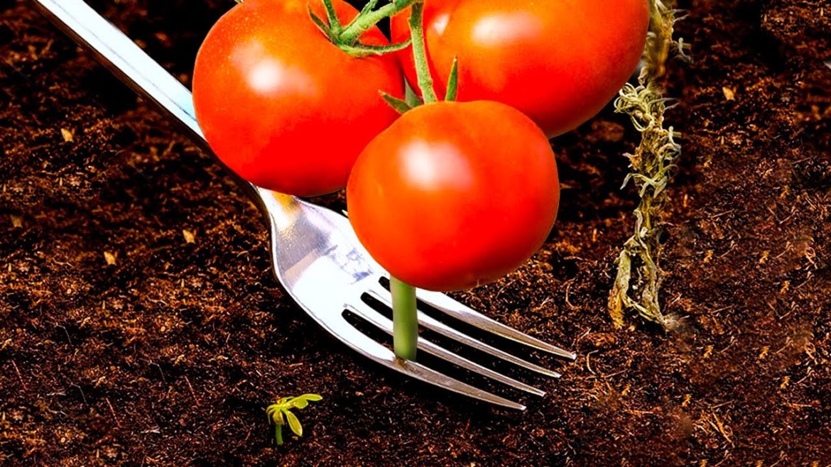 35 GENIUS GARDEN HACKS THAT ACTUALLY WORK 35 GENIUS GARDEN HACKS THAT ACTUALLY WORK