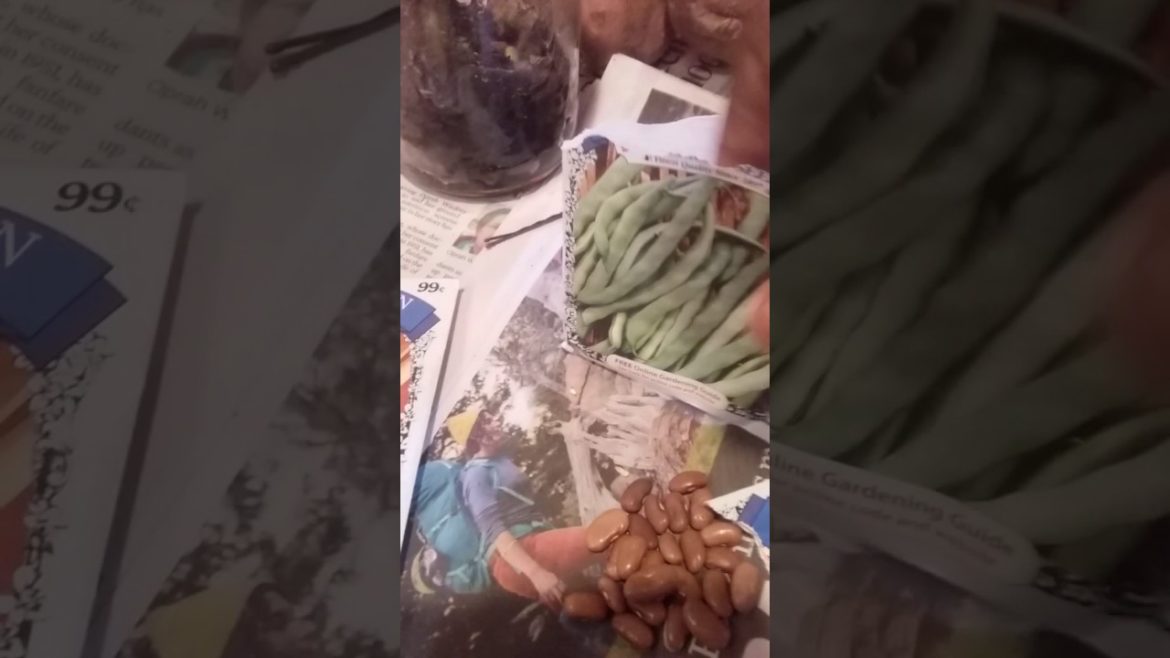 Inexpensive Gardening  Ideas & Supplies