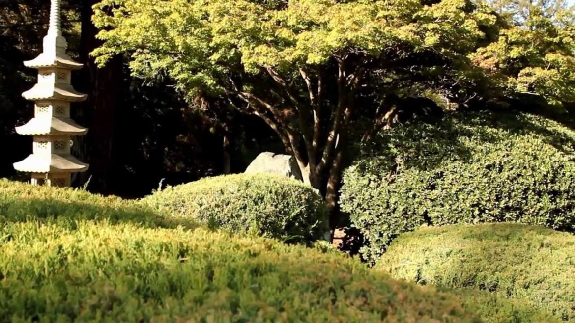 Japanese Friendship Garden, San Jose, California