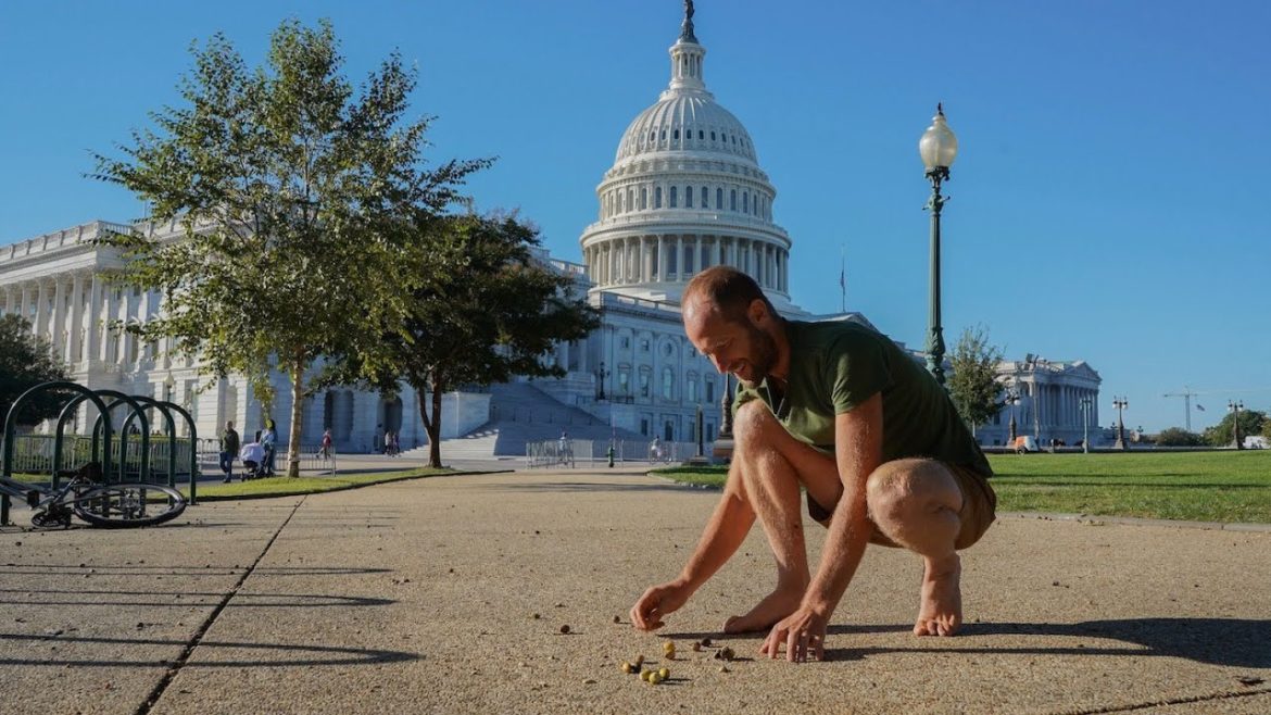 Foraging Walk at the US Capitol in Washington DC. Food is Growing EVERYWHERE!