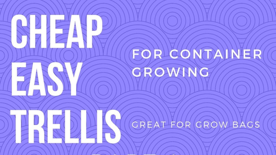 Cheap, Easy Trellis for Container Gardening Cheap, Easy Trellis for Container Gardening