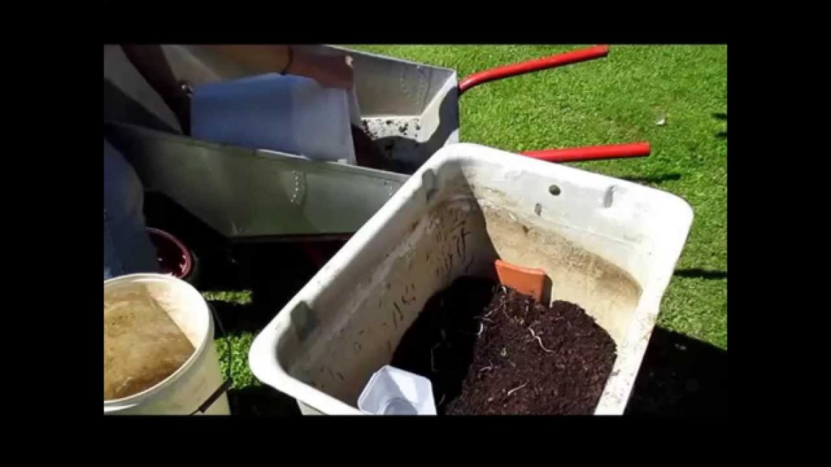 Breckland Master Gardener growing tips