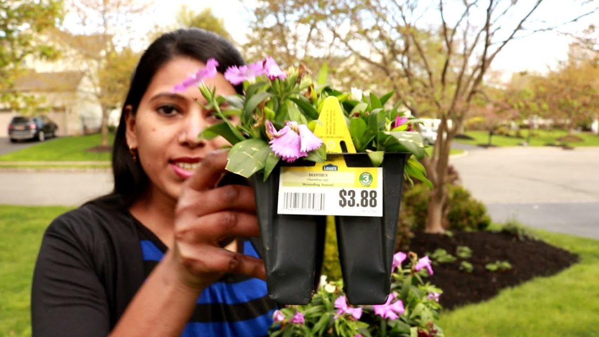 Front yard flower bed makeover | Backyard Garden Highlights Front yard flower bed makeover | Backyard Garden Highlights