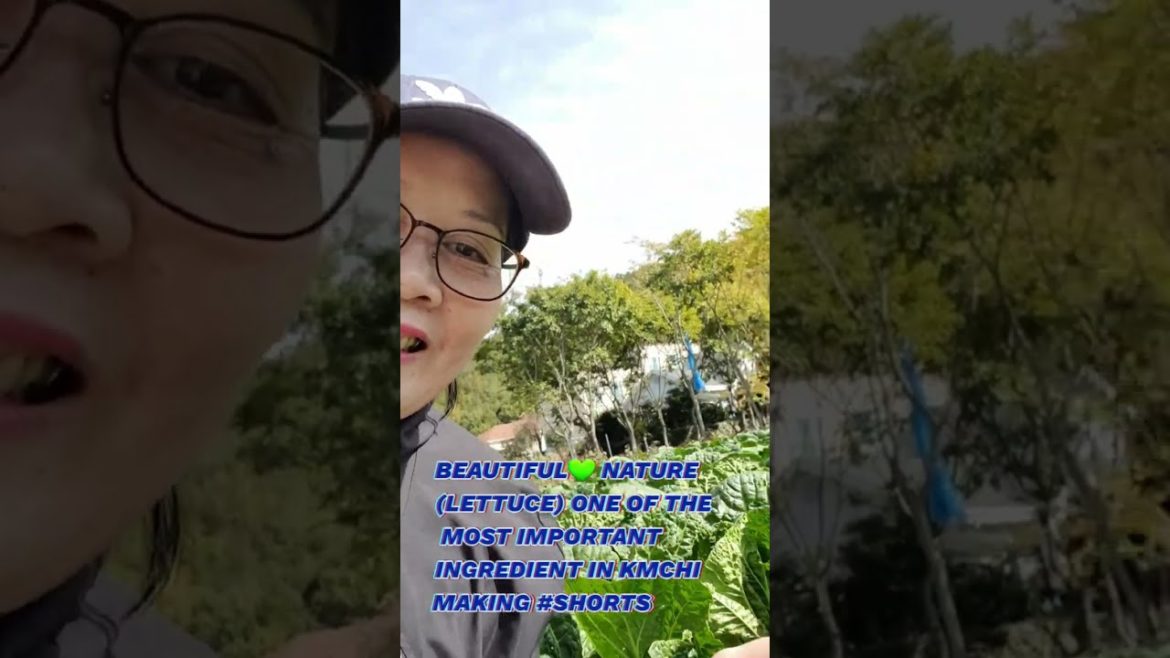 YOU CAN'T MAKE KIMCHI WITHOUT THIS💚💛#SHORTS