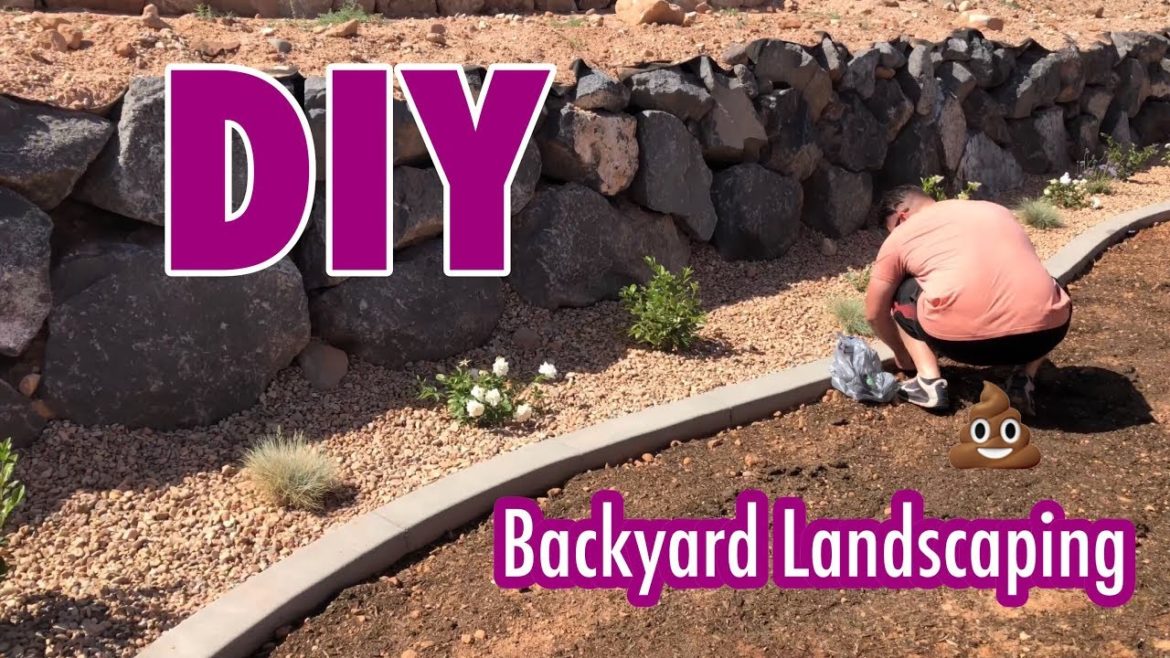DIY Backyard Landscaping Part III