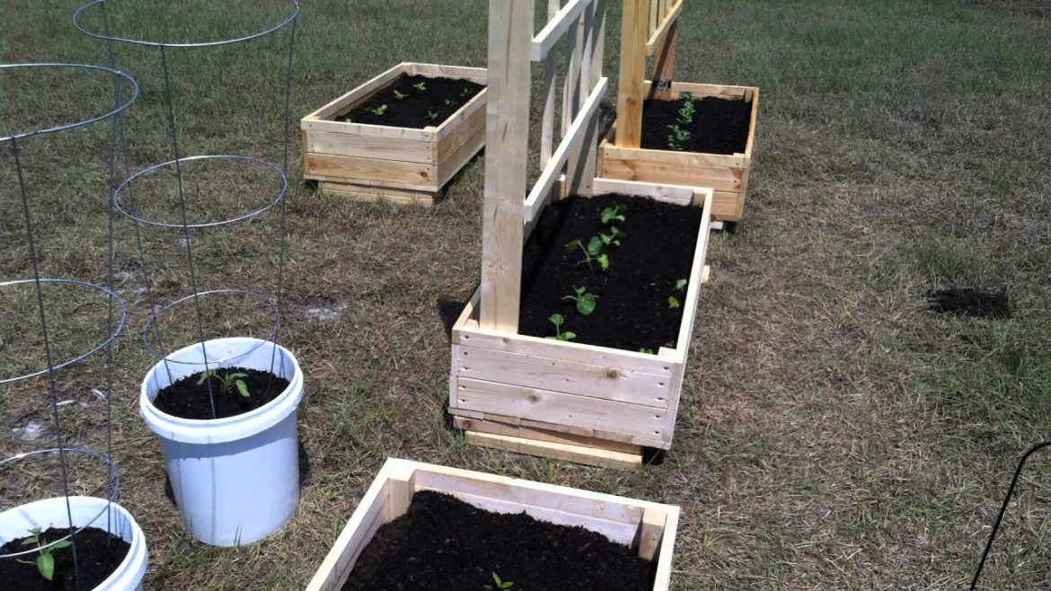 My Container Garden – 4/23/12 – (watermelon, cantaloupe, tomatoes, etc.) My Container Garden - 4/23/12 - (watermelon, cantaloupe, tomatoes, etc.)