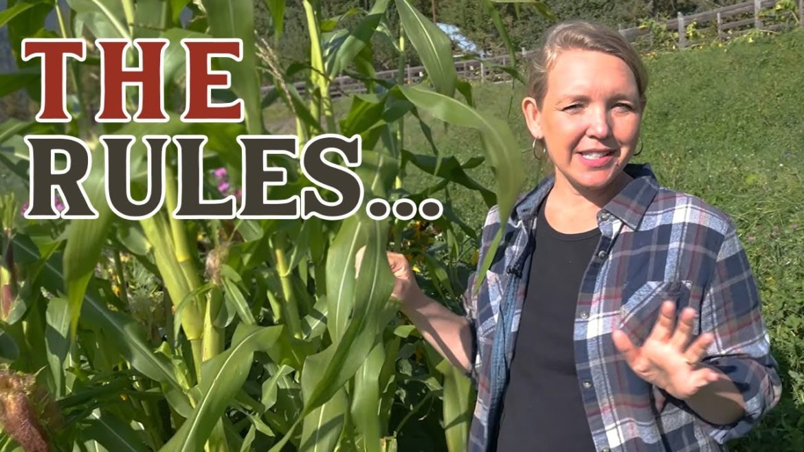 Country Living RULES (Don't be the newbie that breaks these...)