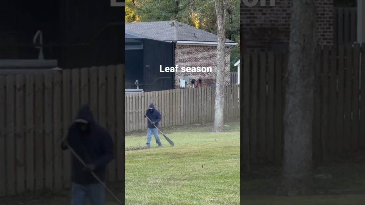 How to clean up your backyard (and get the leaves off your property)