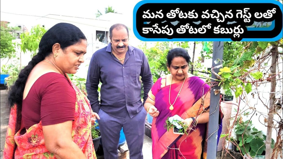 మన తోటకు వచ్చిన గిఫ్ట్ లతో కాసేపు తోటలో|| midde thota||terrace gardening tips||gardening vlog