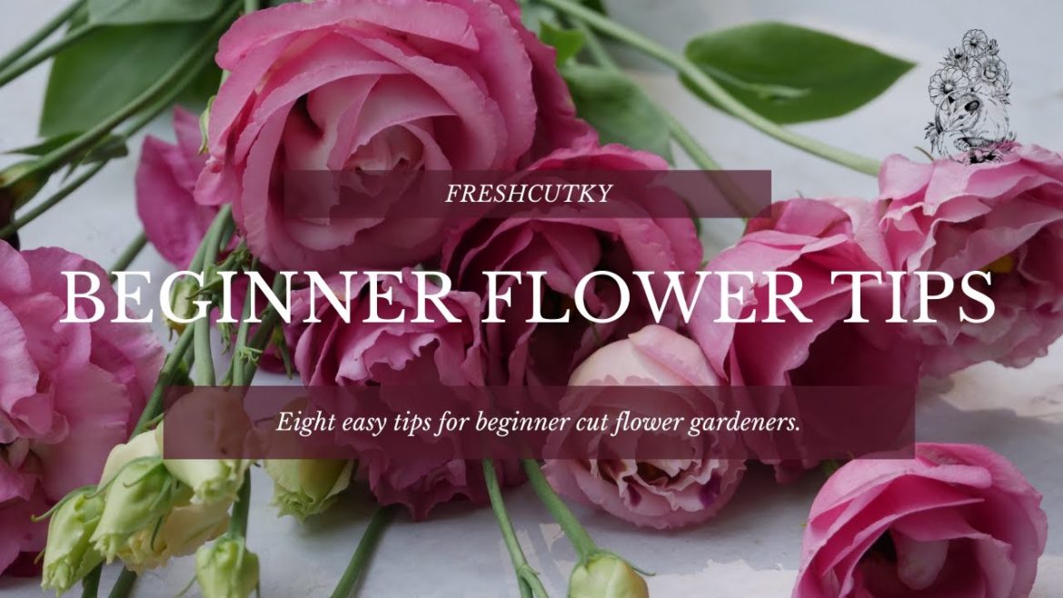 8 Practical Tips for Beginner Cut Flower Farmers/Gardeners 8 Practical Tips for Beginner Cut Flower Farmers/Gardeners