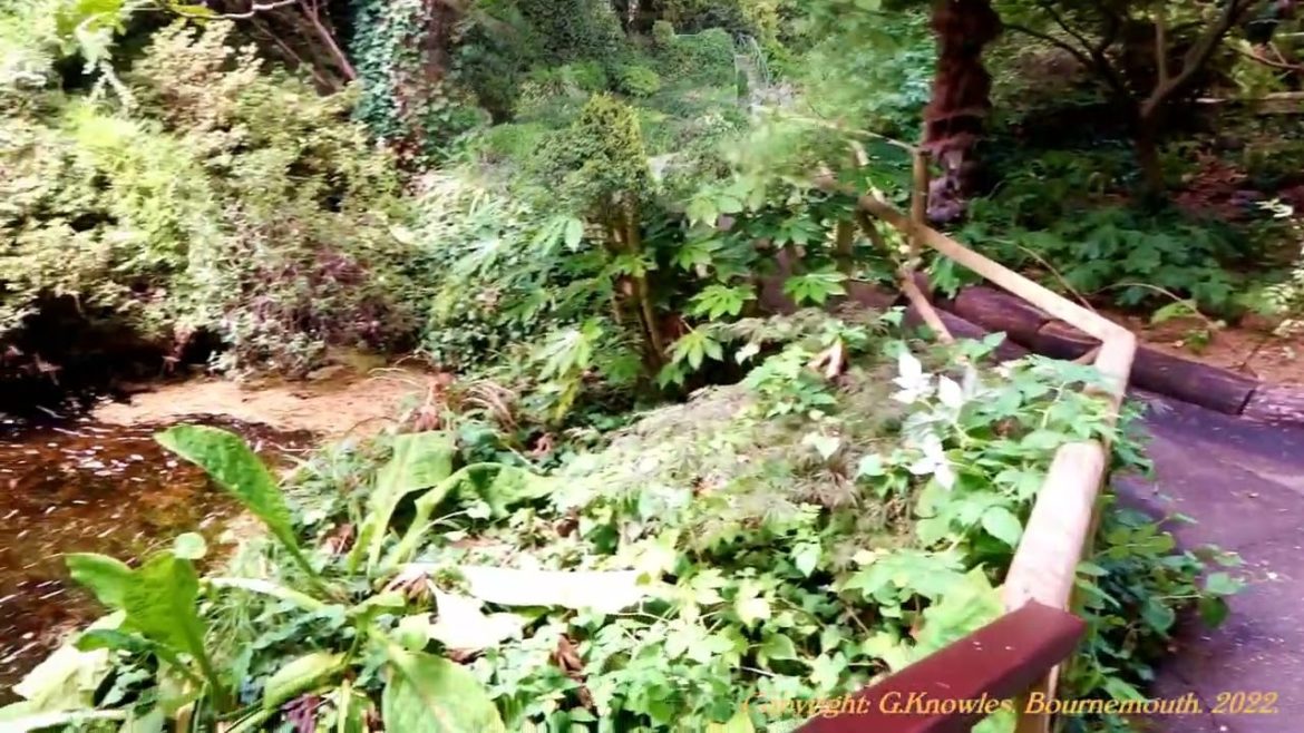 Compton Acres Gardens, August 2018,  Canford Cliffs road, Poole, Dorset  BH13 7ES  England. ( 4 ) Compton Acres Gardens, August 2018,  Canford Cliffs road, Poole, Dorset  BH13 7ES  England. ( 4 )