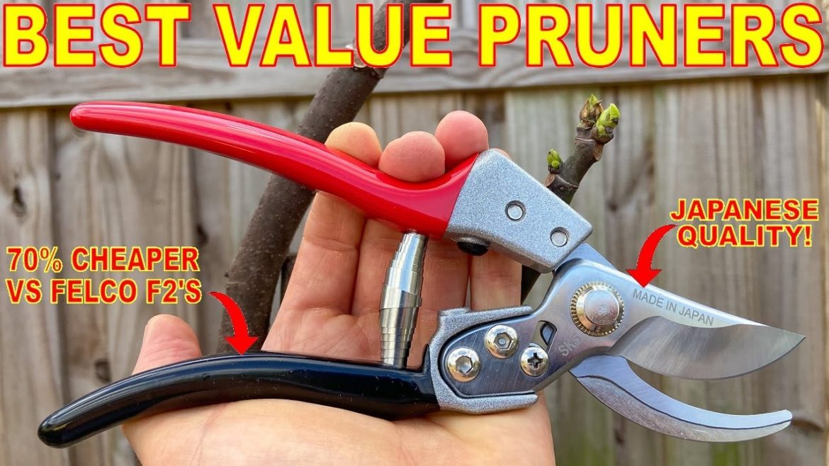 I Found The PERFECT PRUNING SHEARS! Japanese Pruners At An UNREAL Price!