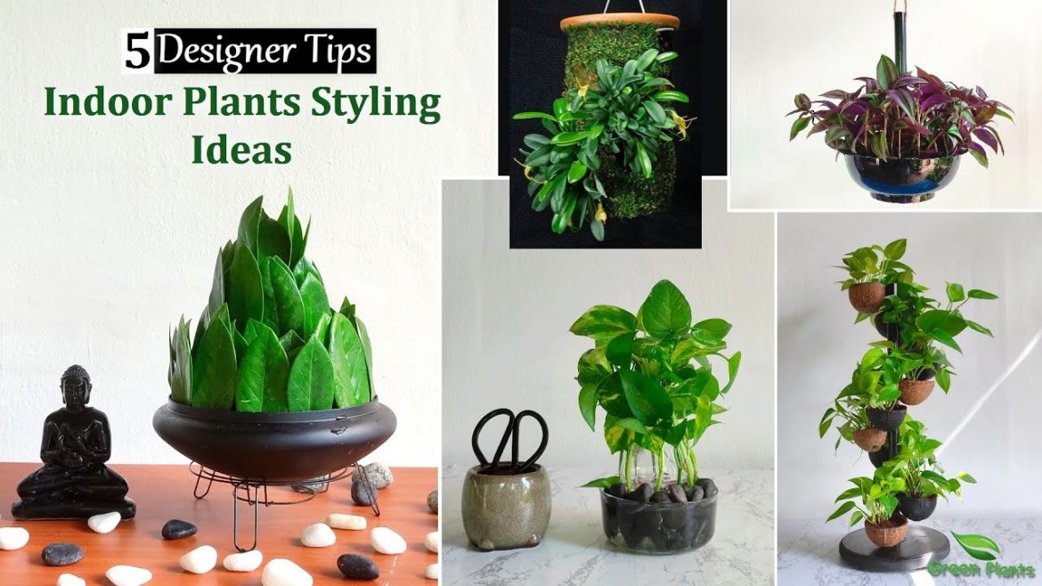 Ideas for Styling Indoor Plants: 5 Designer Tips | Arrange Indoor Plants in Your Home//GREEN PLANTS
