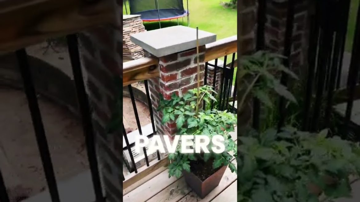 Backyard landscape #brick #landscapedesign #diy