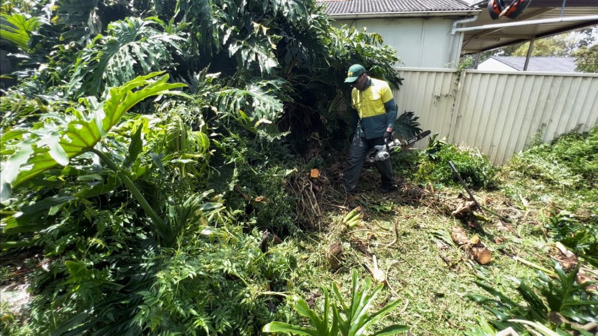 AWESOME Backyard Disaster Transformed For Client With Health Issues.