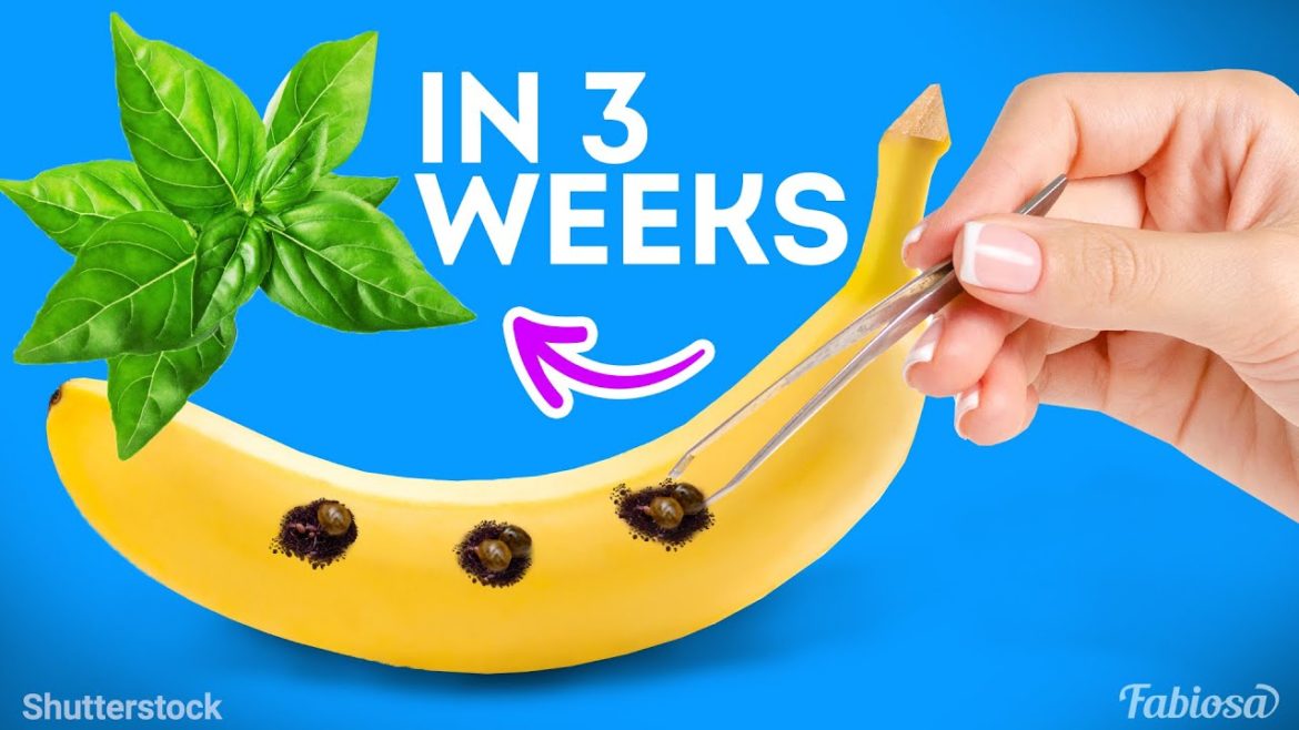 How to grow greens & microgreens indoor | Gardening tips that actually work How to grow greens & microgreens indoor | Gardening tips that actually work