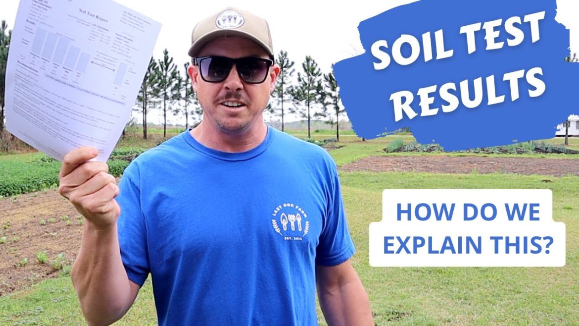 THE RESULTS ARE IN! | Backyard Garden Soil Comparison THE RESULTS ARE IN! | Backyard Garden Soil Comparison
