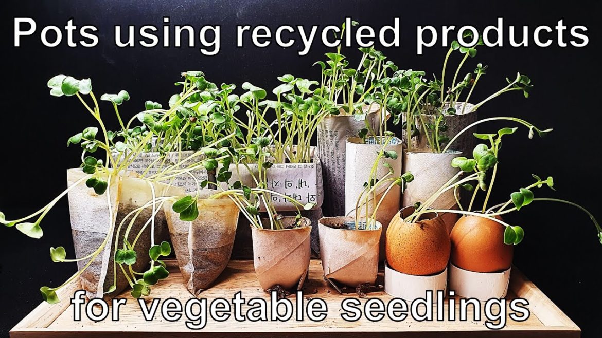 Making pots with recycled products for vegetable|Gardening idea #1 Pots using recycled products Making pots with recycled products for vegetable|Gardening idea #1 Pots using recycled products