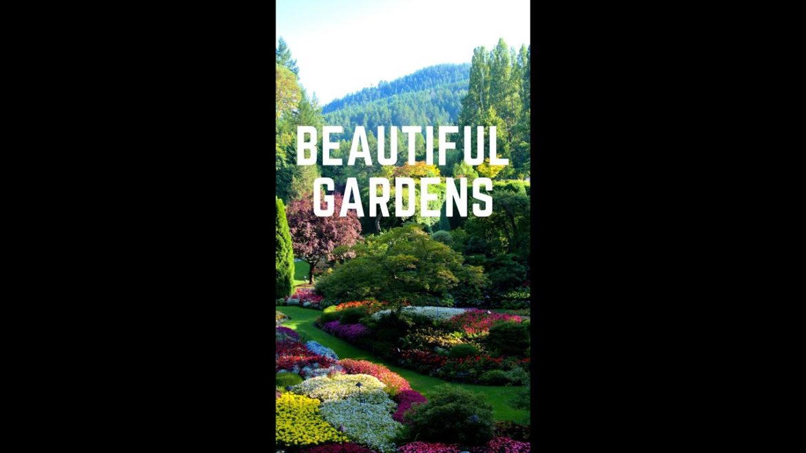 Most Beautiful Gardens/ Landscape Design Ideas Renovation & Backyard Makeover #Shorts #YoutubeShorts Most Beautiful Gardens/ Landscape Design Ideas Renovation & Backyard Makeover #Shorts #YoutubeShorts